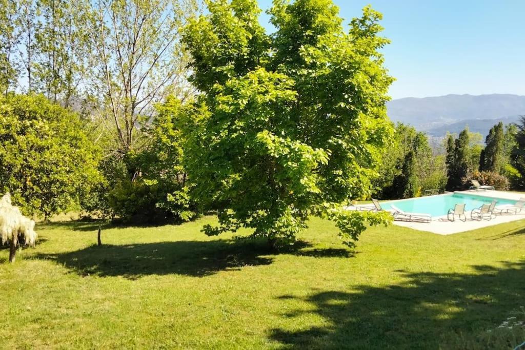 Confort, Fun And Leisure In Douro Rural Space Sande  Exterior foto